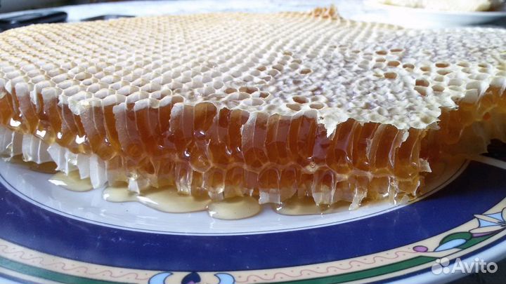 Мед, мёд, воск, прополис.Всё с личной пасеки 2024