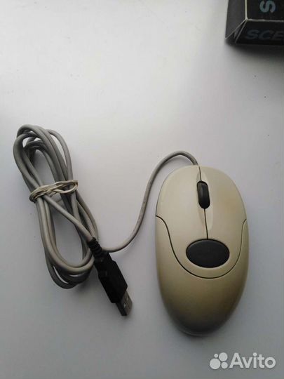 Мышь usb проводная Genius NetScroll 110