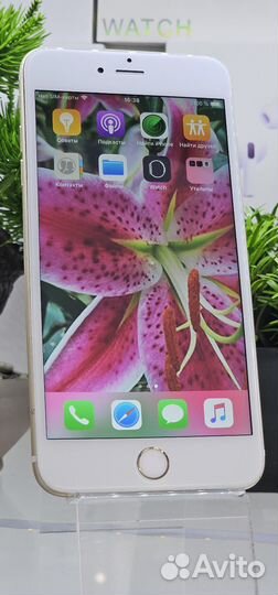 iPhone 6 Plus, 16 ГБ