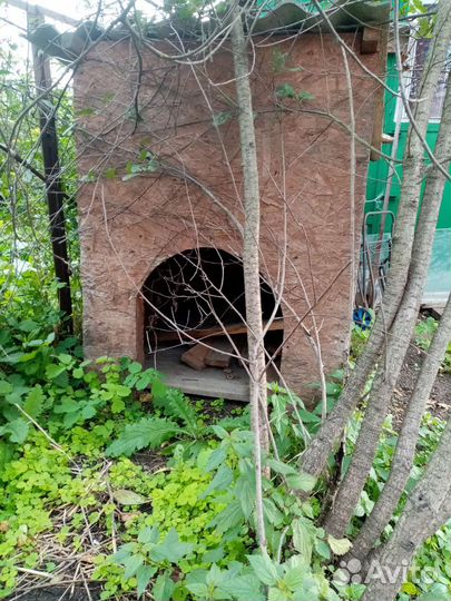 Собачья бутка