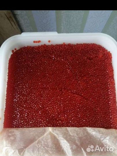 Красная икра 2023