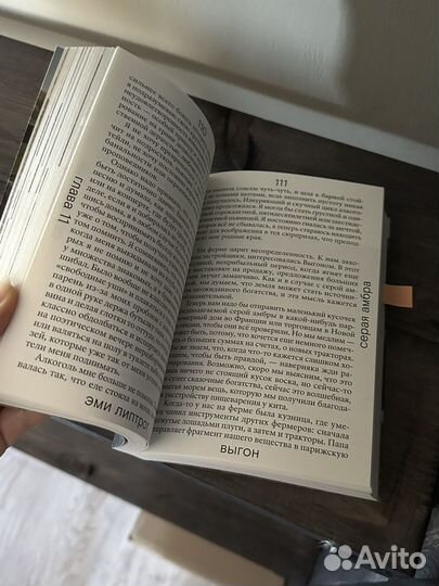 Выгон Эми Липтрот книга