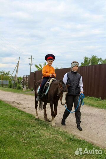 Конные прогулки