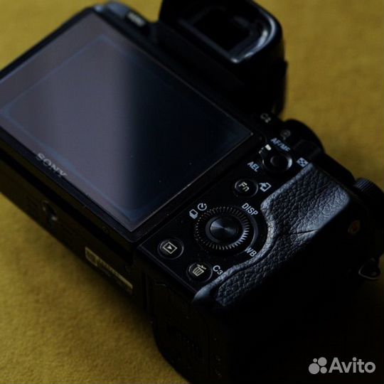 Sony a7r