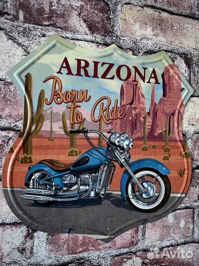 Декор на стену Arizona Born to Ride