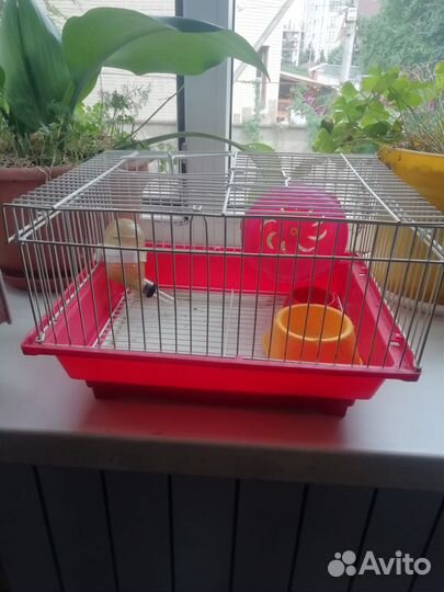 Клетка для грызунов бу