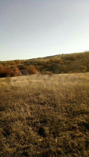 Участок 10 сот. (СНТ, ДНП)