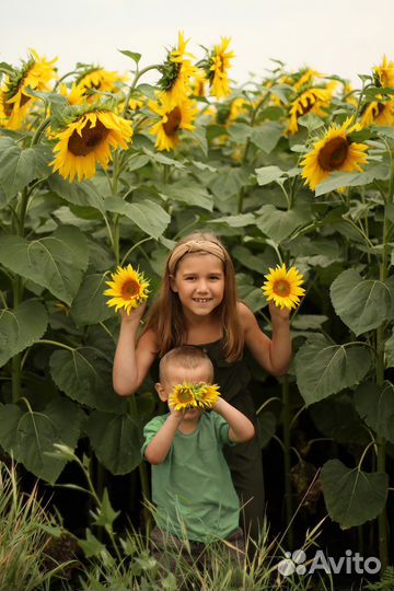 Женский и семейный фотограф