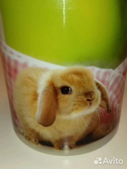 Кружка новая