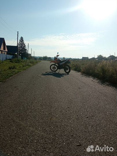 Пантера 250 кубов