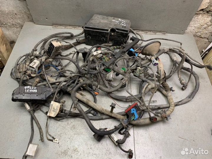 Подкапотная коса Ford Focus 2 седан 1.6 hwdb 2005