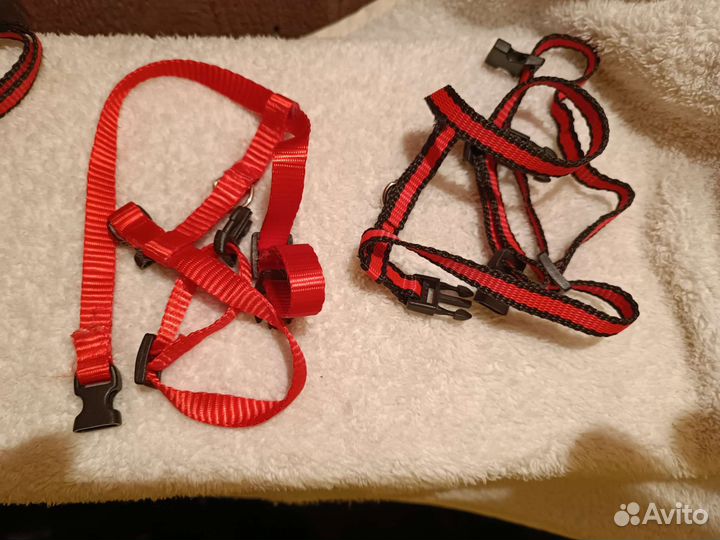 Поводок со шлейкой