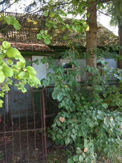 Дом 47,7 м² на участке 15 сот.