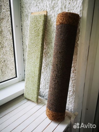 Когтеточка