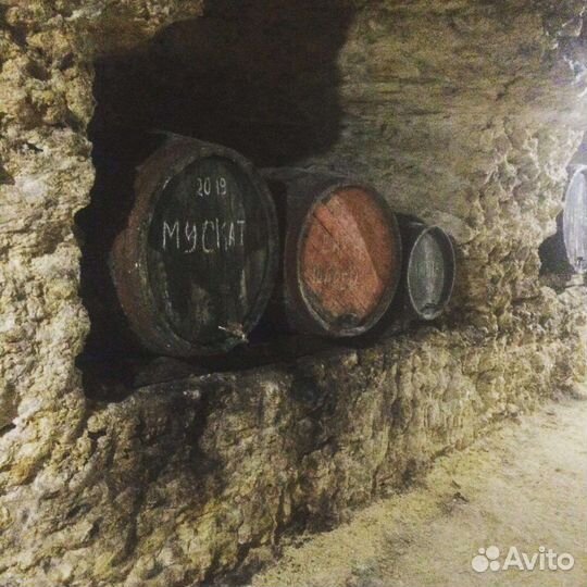 Продам виноград винных сортов