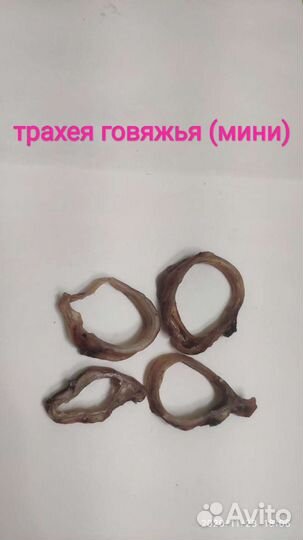 Корм для собак