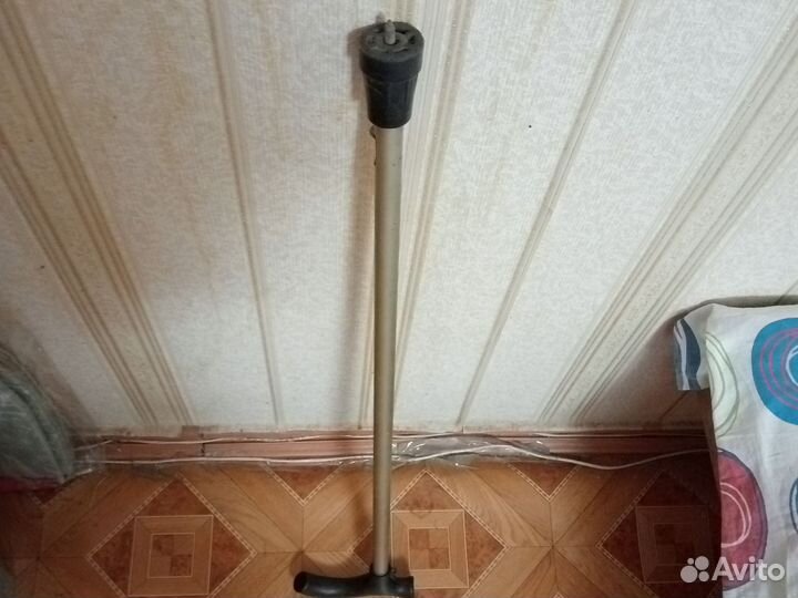 Трость зимняя