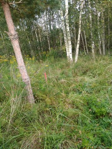 Участок 12 сот. (СНТ, ДНП)