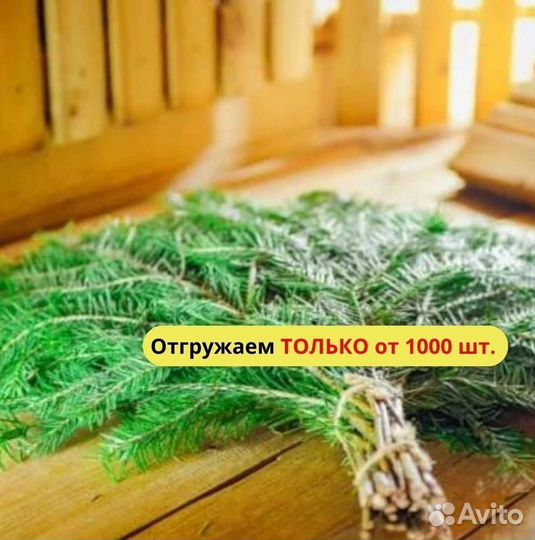 Оптом веники из пихты
