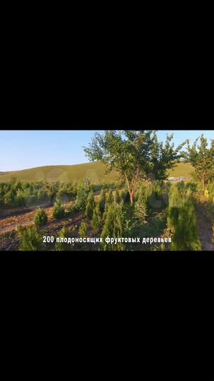 Участок 2,1 га (ИЖС)