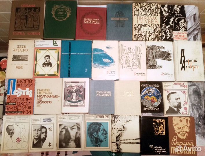 Русская и зарубежная поэзия