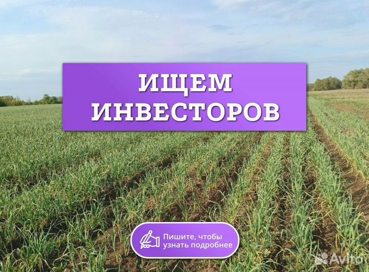 Ищу инвестора в прибыльный бизнес