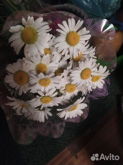 Букет из Ромашек