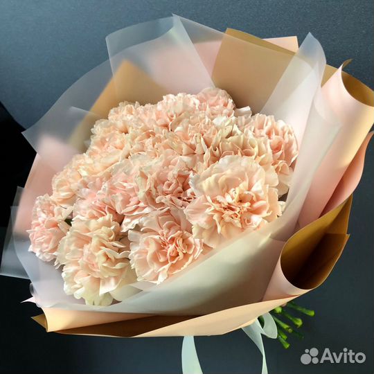 Доставка 46-10-00. 15 кремовых диантусов упаковке