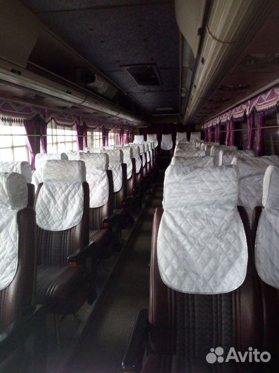 Аренда автобуса