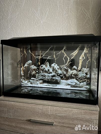 Аквариум на 100 литров