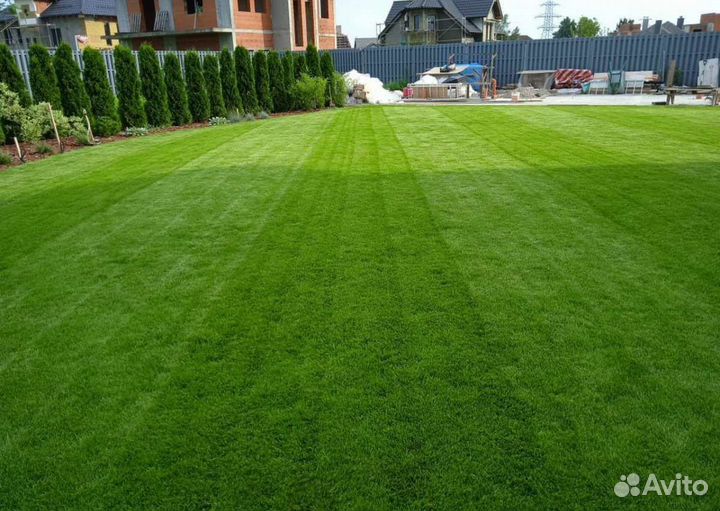 Вспашка, посев газона, уплотнение, покос травы