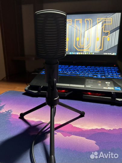 Микрофон Ritmix