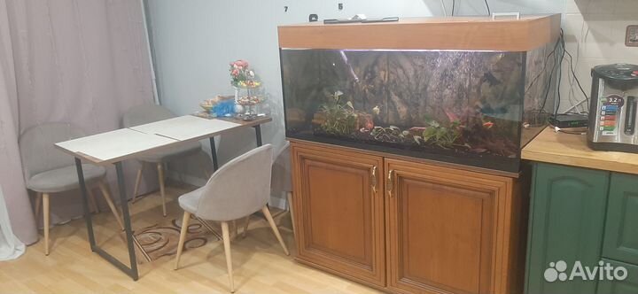 Аквариум 450оитров