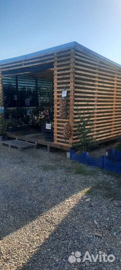 Торговое место на рынке