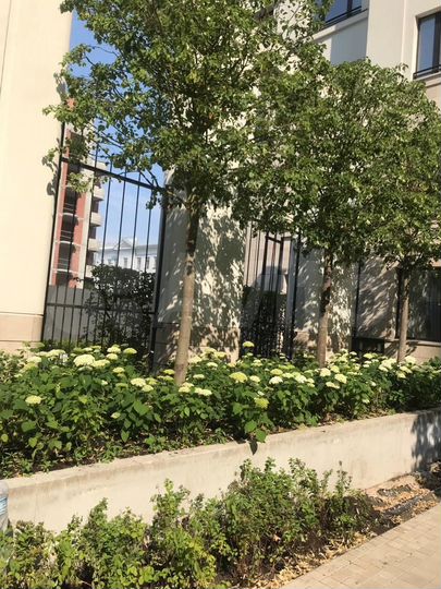 2-к. квартира, 132 м², 6/7 эт.