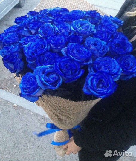Синие розы 21 роза