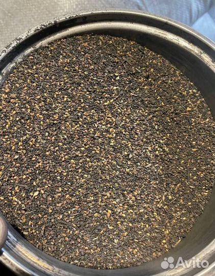 Семена люцерны массовая репродукция