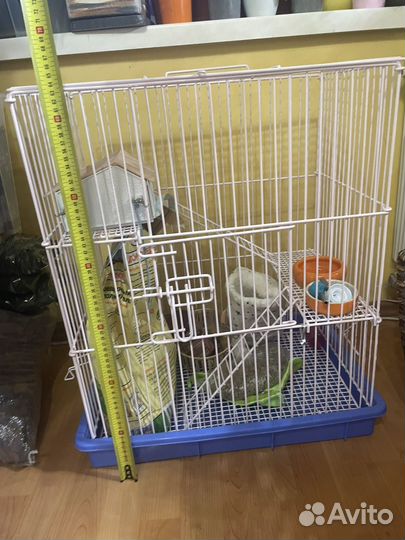 Клетка для грызунов крыс