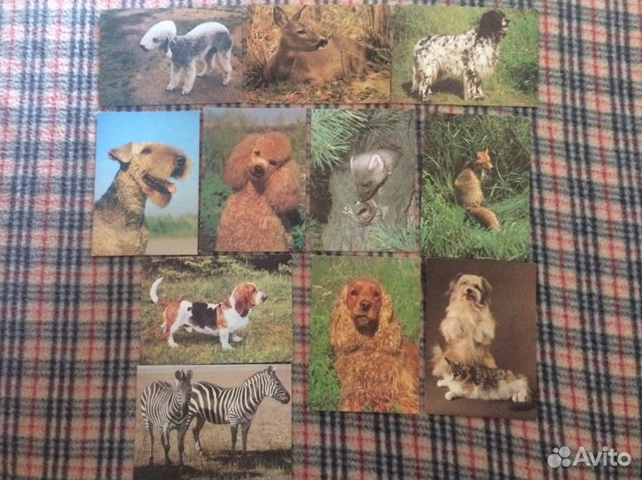 Открытки 1986 г. «Планета»