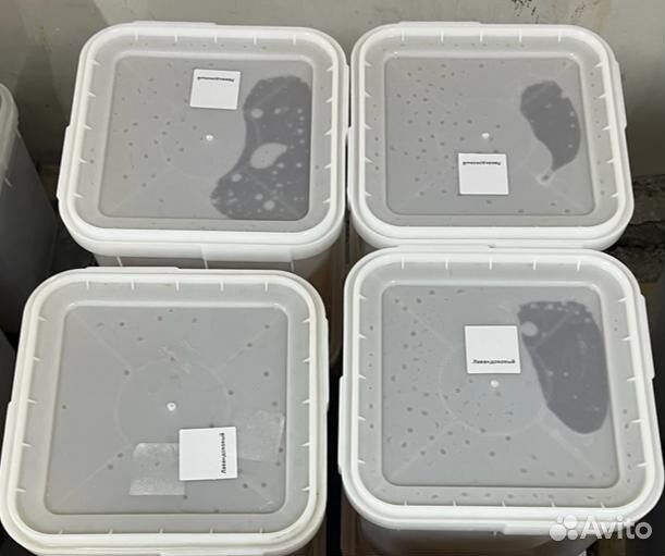 Свежий донниковый мёд оптом