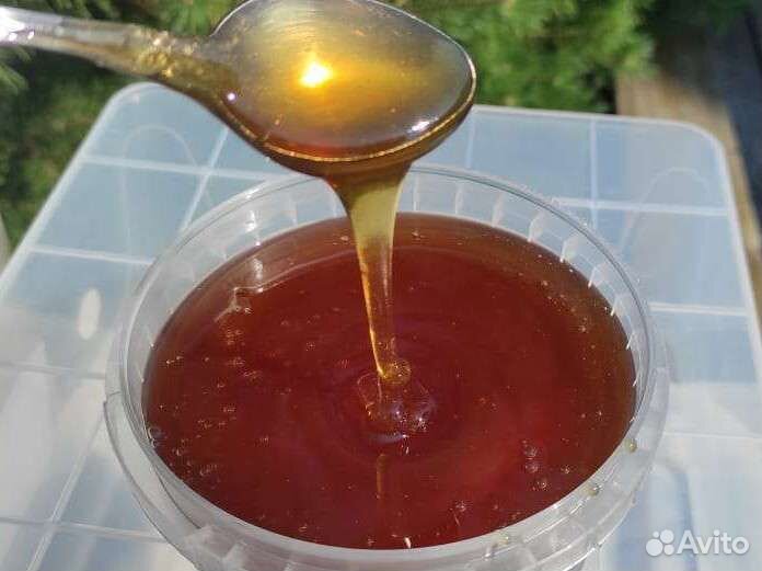 Мед Алтайский