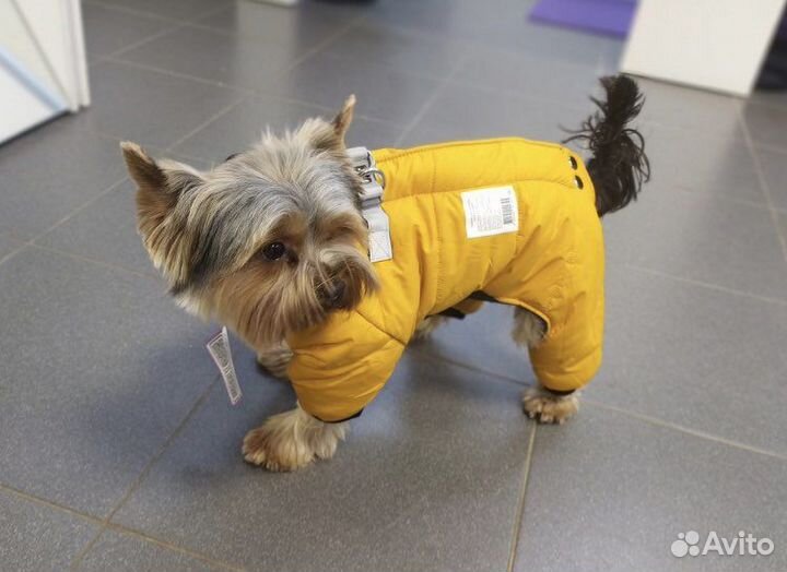 Новая Одежда комбинезон для собак