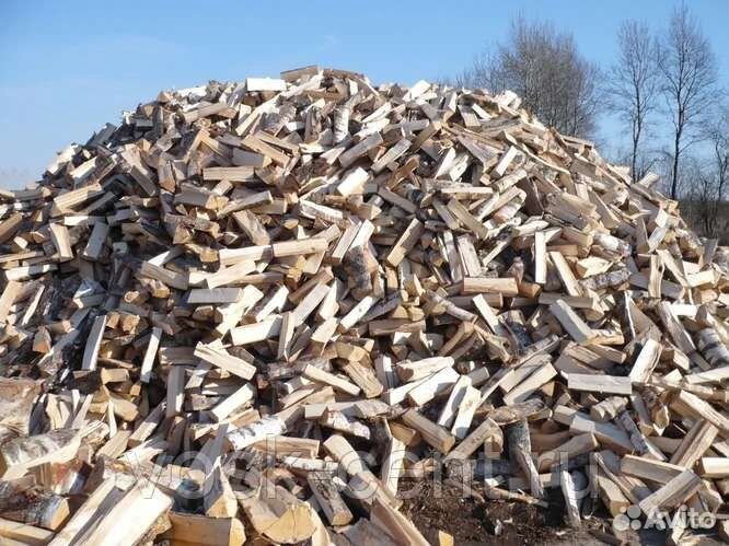 Дрова колотые берёза