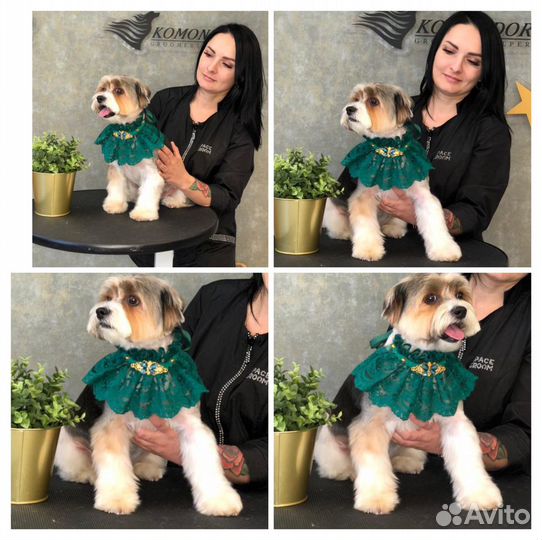 Стрижка собак и кошек Грумер в Люберцах