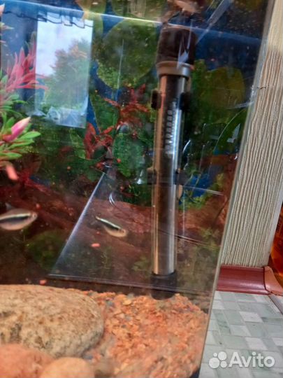 Аквариум