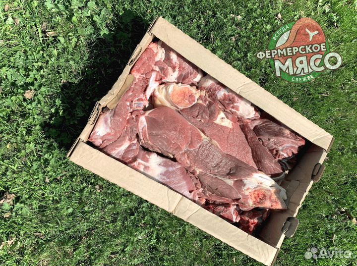 Мясо говядина