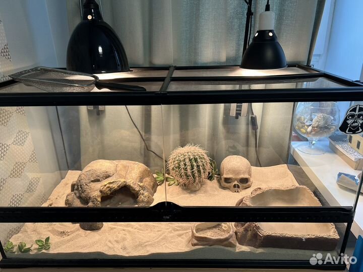 Террариум exo terra hagen 90x45x45