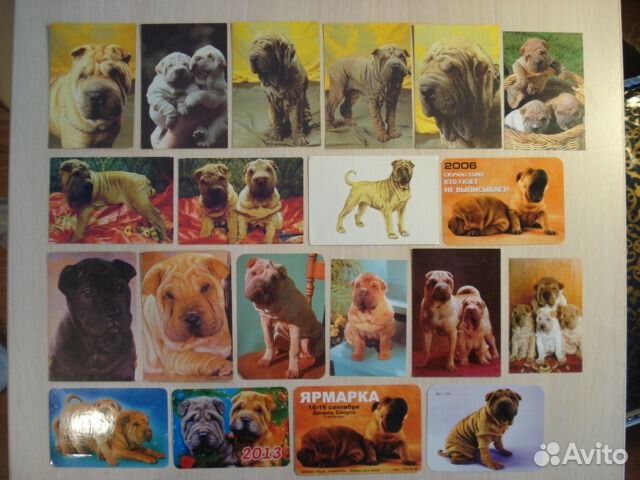 Коллекция календарей порода Шарпей щенок питомник