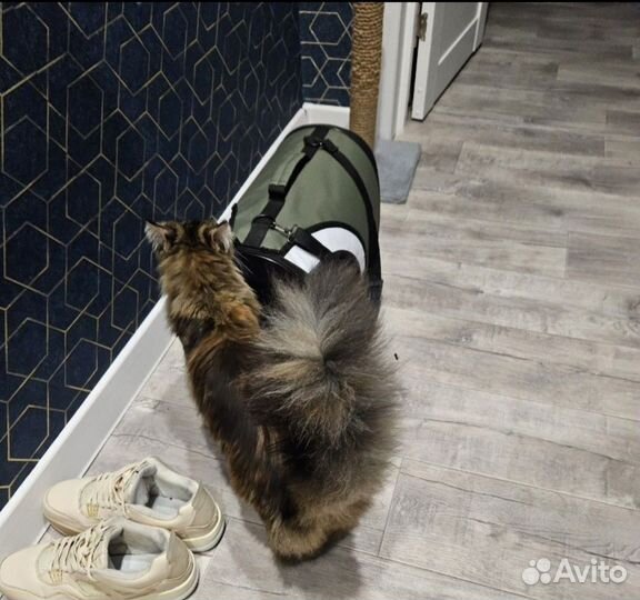 Мейн-кун вязка