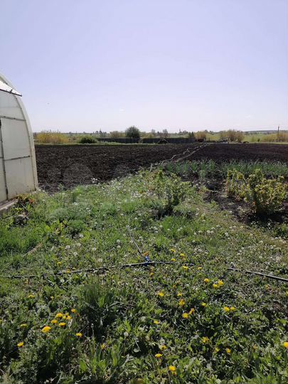 Дом 65,5 м² на участке 17 сот.